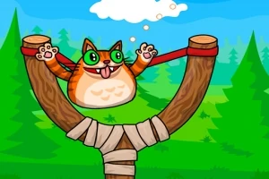 Launch the cat pass through the rings and collect stars