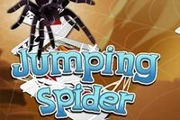 Παραλλαγή του Spider Solitaire