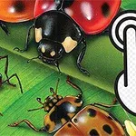 Μια ομάδα από έντομα, όπως πασχαλίτσες και ακρίδες, σε πράσινο φόντο με ένα εικονίδιο χεριού που υποδεικνύει διαδραστικότητα